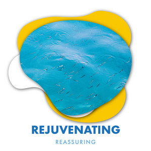 zZz Rejuvenating Reassuring Ocean Melodies zZz album