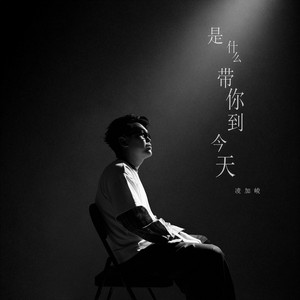 是什么带你到今天 by 凌加峻