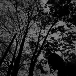 Go! Go! Go! (feat. Cardiigan & Dilo)