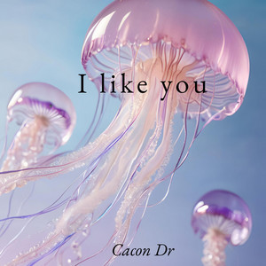 I like you by Cacon Dr