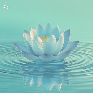 Radiant Karma - Tibetan Bowls by Blooming Lotus