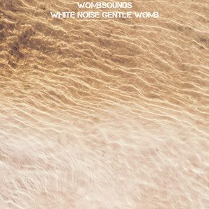 White Noise Gentle Womb