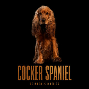 COCKER SPANIEL by ROISTER, MATI GS, Swizzy, Sieczko