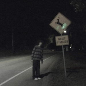 William Mcgee - deer in headlights