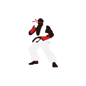 Portada de HADOKEN