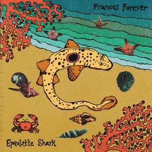 Epaulette Shark by Frances Forever