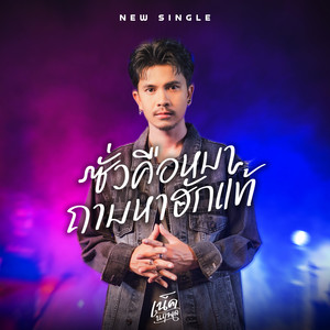 ซั่วคือหมาถามหาฮักแท้ by เน็ค นฤพล