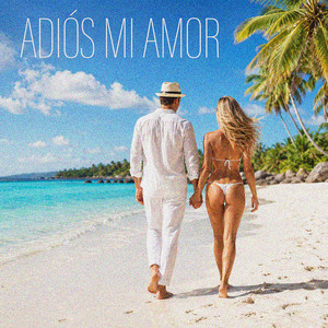 Adiós Mi Amor by Groove Addiction