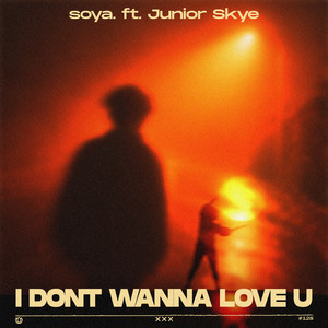 i don't wanna love u (feat. Junior Skye) by soya., Junior Skye