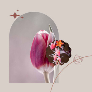 Deep Relaxation (Joyful) album