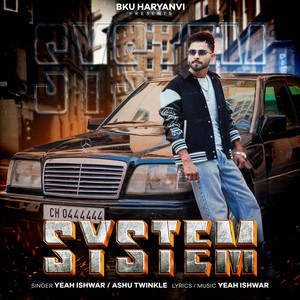 System