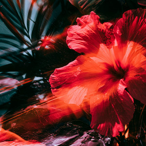 Lush Life by Van Holtz, AiA