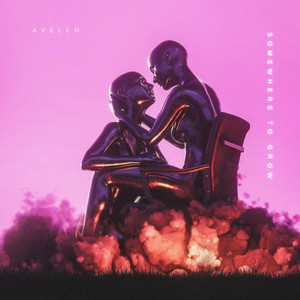 Somewhere to Grow by AVELLO