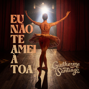 Eu Não Te Amei À Toa (Ao Vivo)