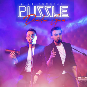 Dametam Garm (Live In Concert) — Puzzle Band cover art