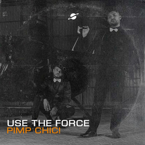 Use The Force - Radio Edit by Pimp Chic!