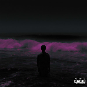 Portada de NOTHING FREE
