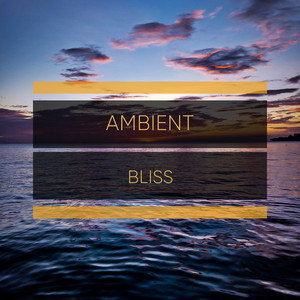 # 1 Album: Ambient Bliss album