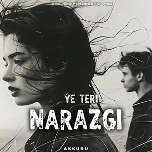 TERI NARAZGI by Vibe Chapters