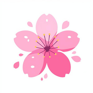 nanaacom - Sakura