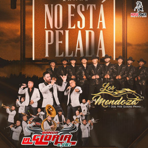No Está Pelada by Los Mendoza, Banda la Gloria de Jerez