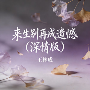 来生别再成遗憾(深情版) by 王林成