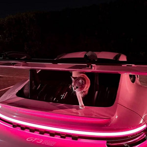 DJ缪斯 - Gentleman (Meeynara震感强烈)