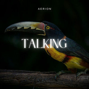 Talking - Radio Edit by Aerion