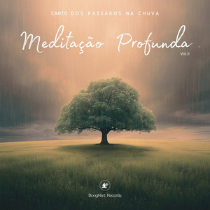 Meditação Profunda Vol.II - Canto dos Pássaros Na Chuva