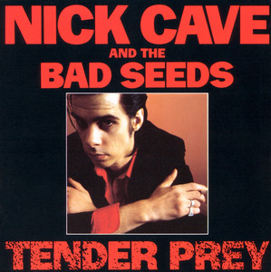 Nick Cave & The Bad Seeds – Tender Prey Nick Tender Bad Seeds & Cave – Prey The