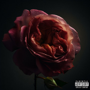 Mi Amore by Double Lyrical