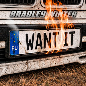 Want It by Bradley Winter