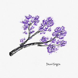 DaniSogen — Revival