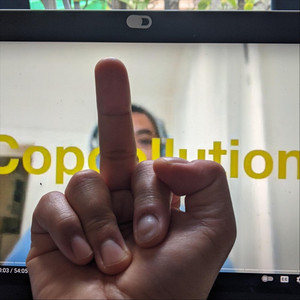 Copcollution