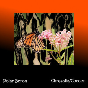 Chrysalis by Polar Baron