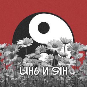 Инь и Ян