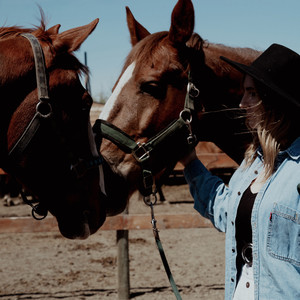 Cowboy by Vikki Gilmore