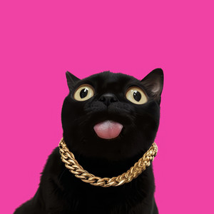 Pu$$y by Hostile Architect