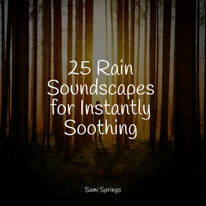 25 Rain Soundscapes for Instantly Soothing album
