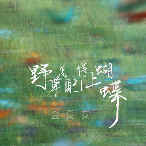 野草怎配得上蝴蝶 by 金夏安