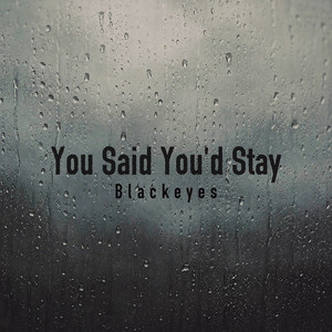 You Said You’d Stay by Blackeyes