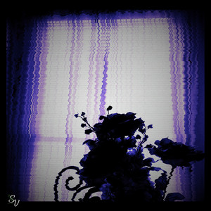 Belonging by Sage Violet