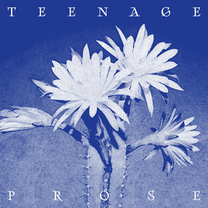 Teenage Prose by Ghosts & Errors