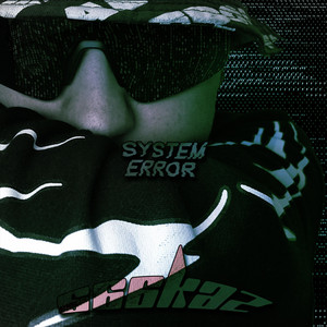 System Error