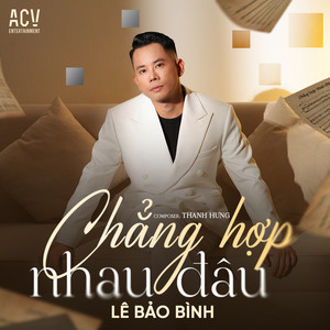 Lê Bảo Bình - Chẳng Hợp Nhau Đâu (Acv Remix)