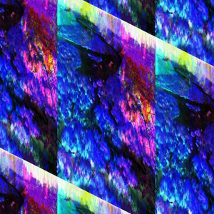 Digital Himalayas — Haksley Mode