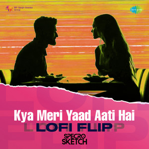Kya Meri Yaad Aati Hai (LoFi Flip)
