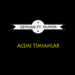Acemi Timsahlar