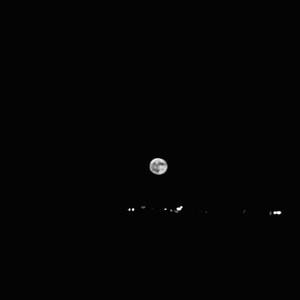 Обкладинка: Moon weasel - Instrumental Version