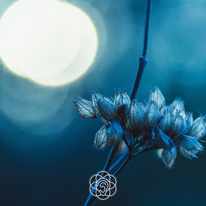 Sound Healing — Night Medicine by Michael Reiley
